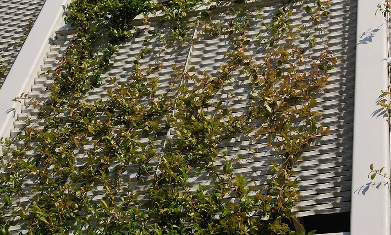 Detalle de la fachada verde con plantas con flores